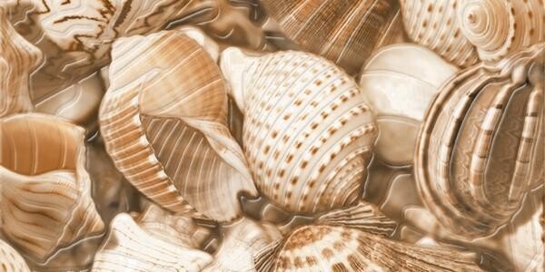 декор Голден Тайл Sea Breeze Shells Е11421 фото