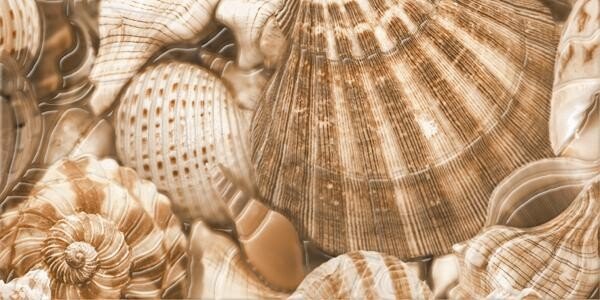декор Голден Тайл Sea Breeze Shells Е11431 фото